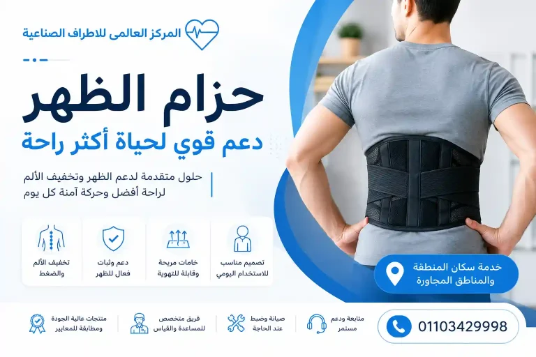 حزام الظهر