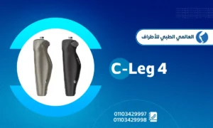 C Leg 4
