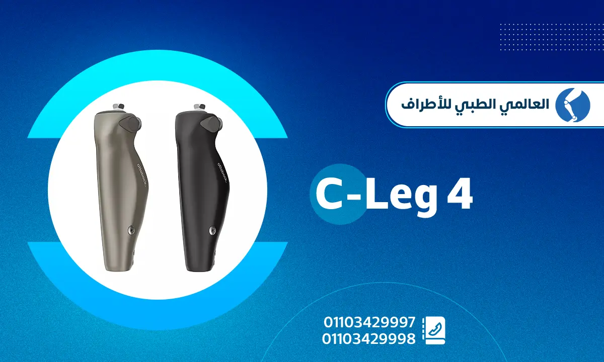 C Leg 4
