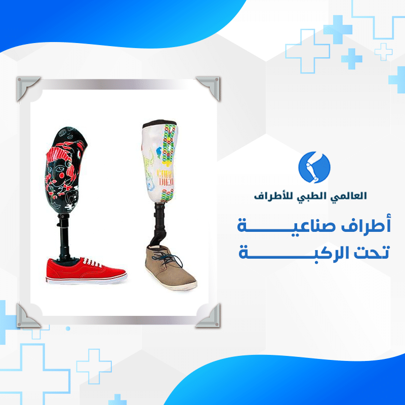 الأطراف خدمة 7