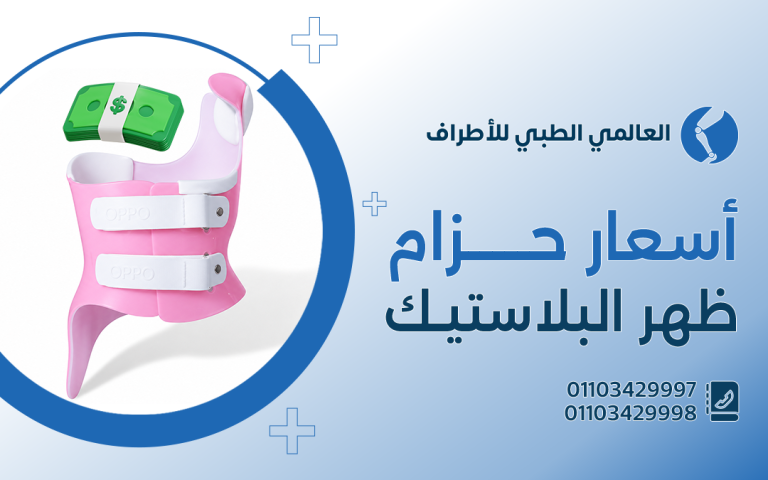 أسعار حزام ظهر بلاستيك